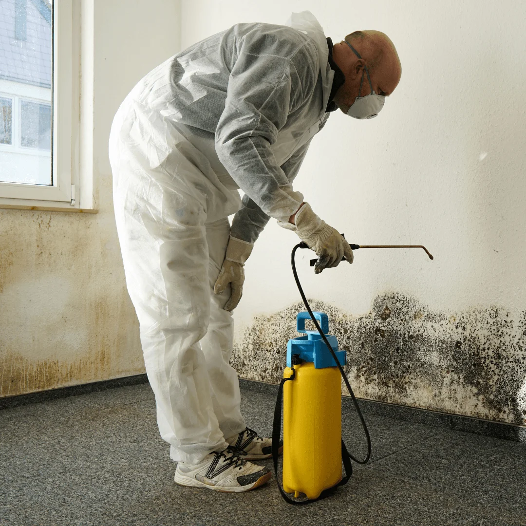 Mold remediation technician inspecting a wall in Katy, TX